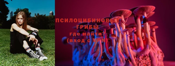 альфа пвп Козельск